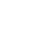 SUN icon
